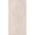 Fujian Porcelain Tiles Glossy Finish, Rectangular Shape, 9.5 mm Thickness, Size 60 × 120 cm
