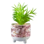 نبات صناعي دولان - متعدد الألوان ، ارتفاع 22 سم