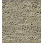 ورق جدران ايطالي تصميم نقشات مقاس 10 م× 0.70 م، لون بيج شاحب، موديل 14064 