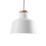 Contemporary Ceiling Light, Size 29x25x10 cm, white Color