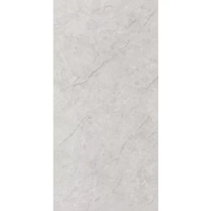 Indoor Wall Ceramic Tile 60×30 cm Gray Glossy Surface | 
