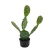 شجرة صبار التين الشوكي صناعية، طول 60 سم، لون أخضر 