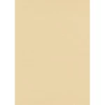 ورق حائط الماني سادة مقاس 10 م× 0.53 م، لون بيج، موديل 1026202  