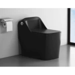 Matte Black Floor Mounted Toilet, Size 30 cm