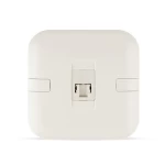 فيش كمبيوتر كات 6 مفرد، ابيض، مقاس 7×7 سم | سبكترا 