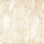 أرضيات بورسلان ، سماكة 10 مم ،ابعاد 60 ×60 سم ، لون بيج مطفي ، موديل فيورديبوسكو | شركة المستقبل