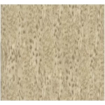 ورق حائط نقشات لون  بيج، طول 10 م، عرض 0.70 م، موديل 14065