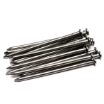 Common Nail, Size 2 inchx11, Length 5 cm