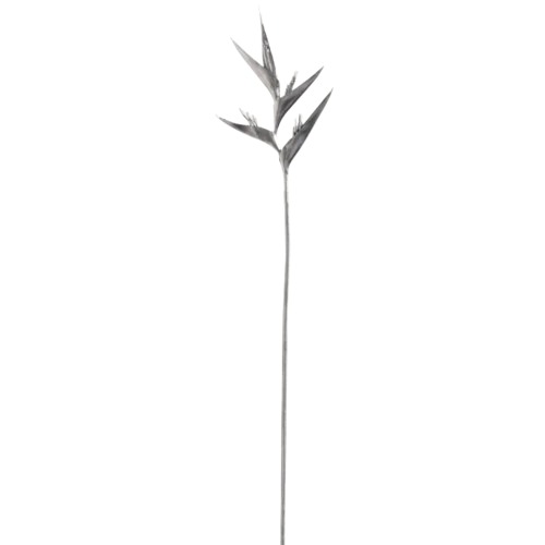 Artificial lagurus grass 73 x 0.2 x 73 cm, Silver Color | Abyat Company