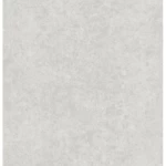 Matte Porcelain Floor Tiles Thickness 9 mm, Size 60x120 cm, White Color, Paleo Model | RAK Ceramics