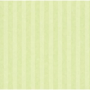 Youth and Children Wall Covering 10m x 0.53m Green Color | Balbaid Decor Company