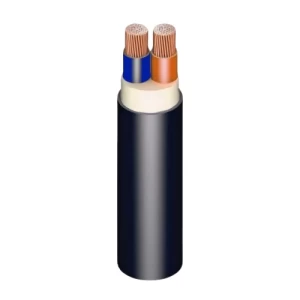 كيبل 16 mm خطين نحاس مجدول 600/1000 فولت عزل XLPE غلاف PVC بني/أزرق | مجموعة كابلات الرياض