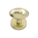 مقبض أبواب مفصولة ثابتة، ذهبي اللون