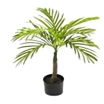 شجرة اريكأ صناعية، طول 55 سم، لون أخضر 