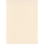 patterned wall decoration, beige color, length 10 m, width 0.53 m, model 10004-39