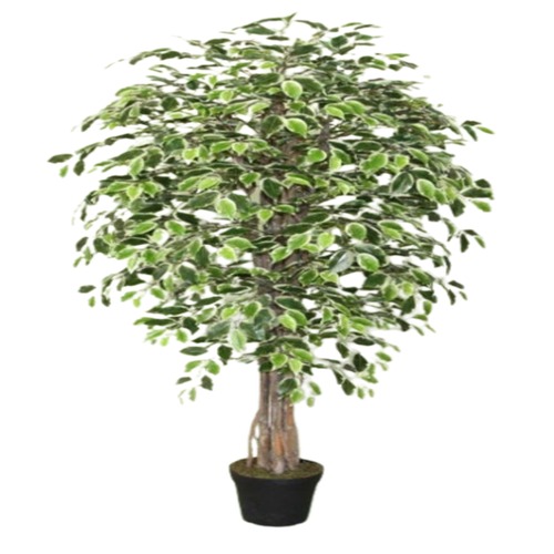 Ficus Benjamina Artificial Grass Height 190 cm Green Color | Luxury line