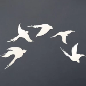 Decorative Metal Plate 5 Pieces, White Color, Various Sizes | 