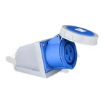 فيش للإستخدامات الصناعيه للإستخدامات الصناعية  16 أمبير، ثنائي القطبية ارضي، أي بي 67 | سبكترا