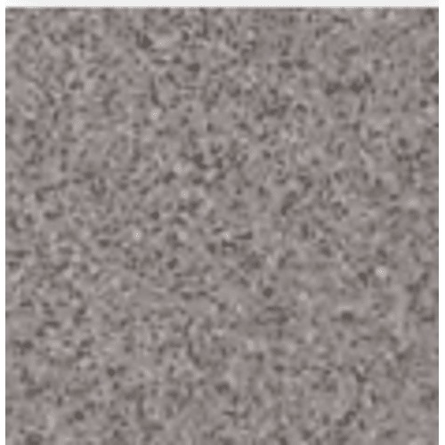 Matte Dark Gray Granit Square Porcelain Floors 30x30 cm, Thickness 8 mm | Future Ceramic Company