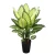 شجيرة دفنباخيا خضراء صناعية، ارتفاع 90 سم