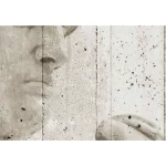 Decorative wall mural modern design, Size 366 cm × 254 cm, beige color