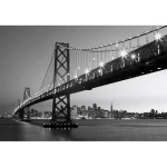 Wall mural for decor cities design, size 366cm × 254 cm, gray color