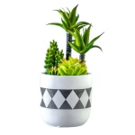 Laiko Small Artificial Plant, 20 cm Diameter, 25 cm height, green with black color