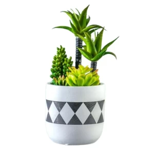 نبته صناعية صغيرة، قطر 20 cm، ارتفاع 25 cm، لون اخضر مع اسود | Laiko
