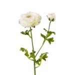 ورود صناعية رانينكلوس، حجم 63 سم، لون كريمى 