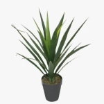 عشبة صبار اجاف صناعية، طول 80 سم 