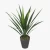 عشبة صبار اجاف صناعية، طول 80 سم 