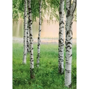 Mural Image Tropical Design 183x254 cm Green | Balbaid Decor Company