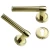 Separated Door Handle Gold Color