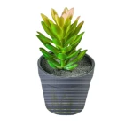 Mora Artificial Plant - Black & Multicolor Color, 16 cm Height