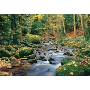 Wall Mural Forests Design 366cm × 254cm Green | Balbaid Decor Company