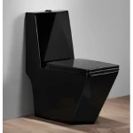Floor Mounted Water Closet Toilet, Matte Black Color, Size 25 cm