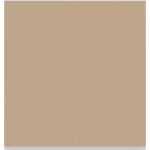 Porcelain Floor Tiles Height 12 mm, Dimensions 30x30 cm, Dark Beige Color, Compact Model | Future Ceramic Company