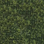 2D Artificial Wall Grass, Length 50 cm, Width 50 cm, Green and Yellow Color