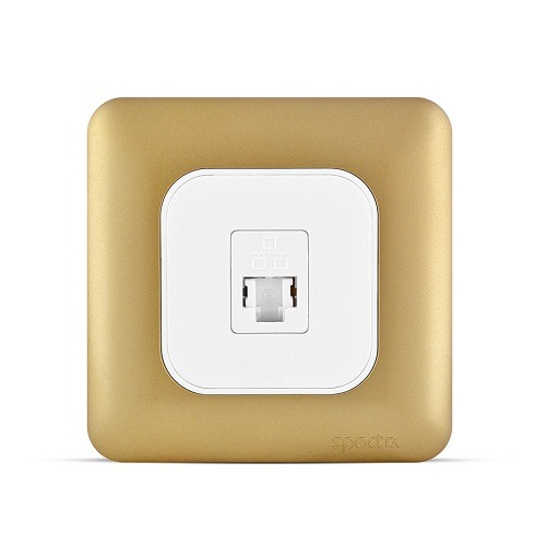 فيش كمبيوتر RJ45 كات 6 مع شاتر، مفرد، 7×7 سم، لون ذهبي | Spectra