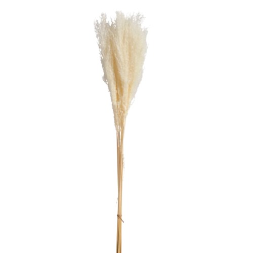 Artificial Lagurus Grass Wheat Color 5 x 5 x 55 cm | Abyat Company