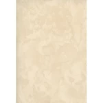 Patterned wallpaper, length 10 m, width 0.70 m, beige color, model 13024