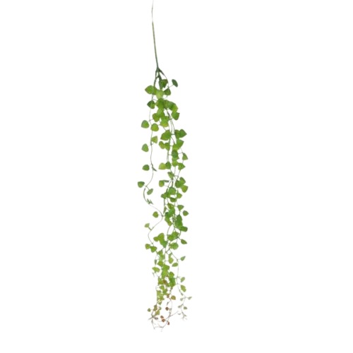 Artificial Plant 70 cm Height, 13 cm Width, Green Color | 