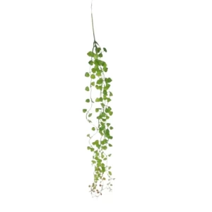 Artificial Plant 70 cm Height, 13 cm Width, Green Color | 