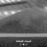 إسمنت اليمامة