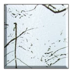 ديكور مقصورة مصعد، تصميم أنيق، الوان متداخلة