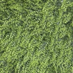 2D Artificial Plant Panel for Decoration, Dimensions 50x50 cm, Green Color