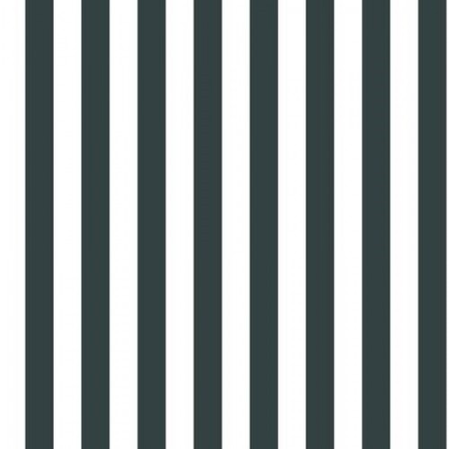 Youth and Children Wallpaper 10m x 0.53m White and Dark Gray | Balbaid Decor Company