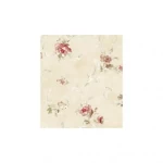 American Wall Covering Length 10m, Width 0.53m, Beige Color, Model aq50311