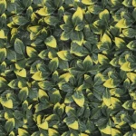 2D Wall Grass Panel for Wall Decor, Dimensions 50x50 cm, Green Color