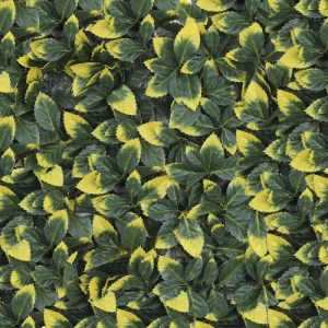 لوح عشب جداري 2D، ابعاد 50×50 سم، لون اخضر | 